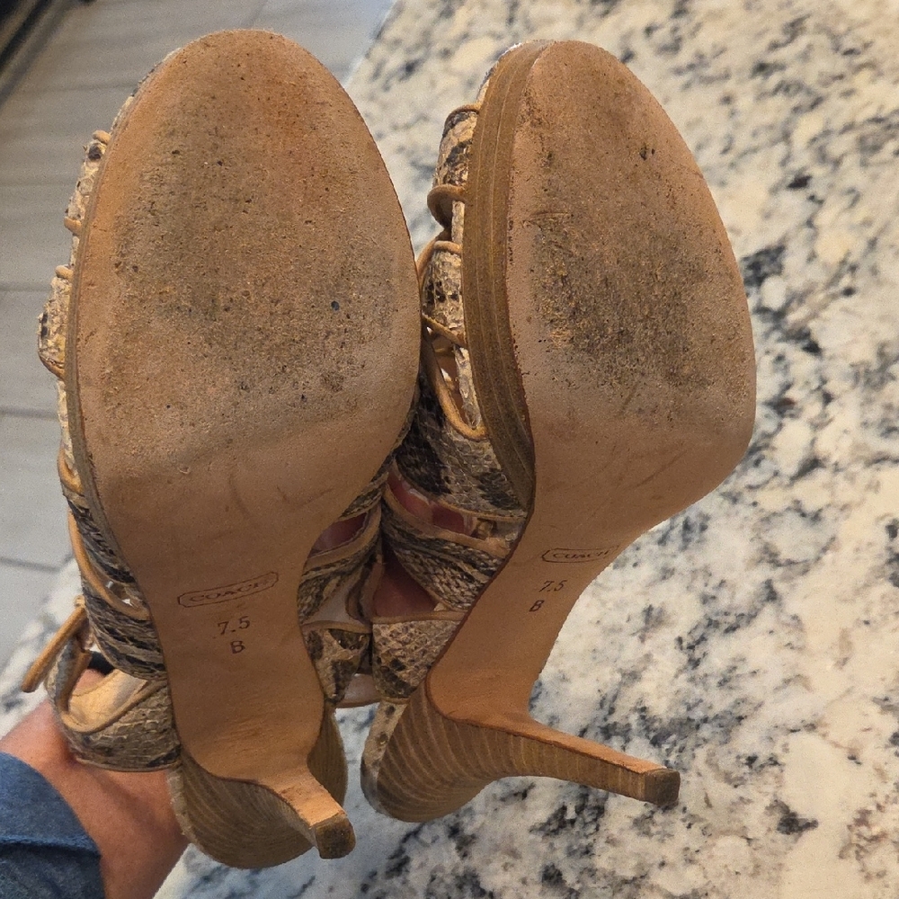 Coach Snakeskin Strappy Heels in Tan and Brown - Picture 7 of 10